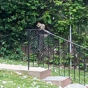 Meet your Posher, Jackie